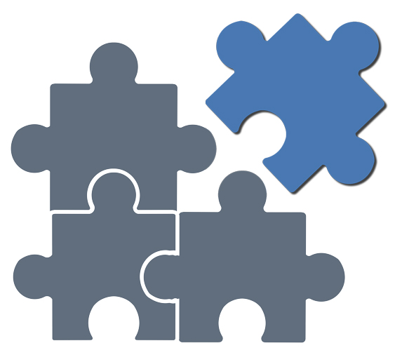 GoInsight